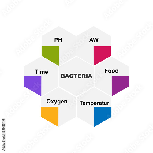 Diagram of Bacteria with keywords. EPS 10 - isolated on white background