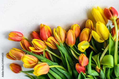 Spring - poster with free text space. yellow, orange and red Tulips. White background. Top view