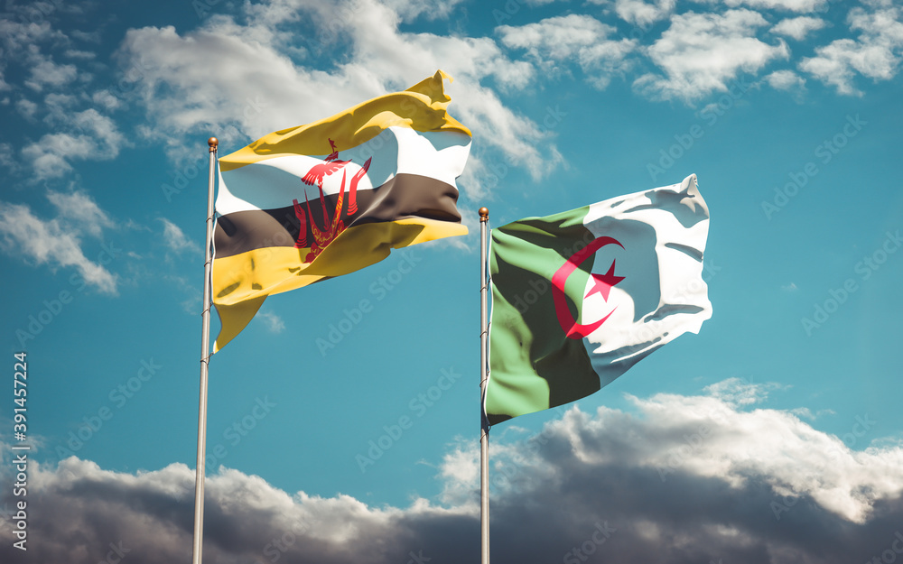 Beautiful national state flags of Algeria and Brunei together at the sky background. 3D artwork concept. Beautiful national state flags of Algeria and Brunei together at the sky background. 3D artwork concept.