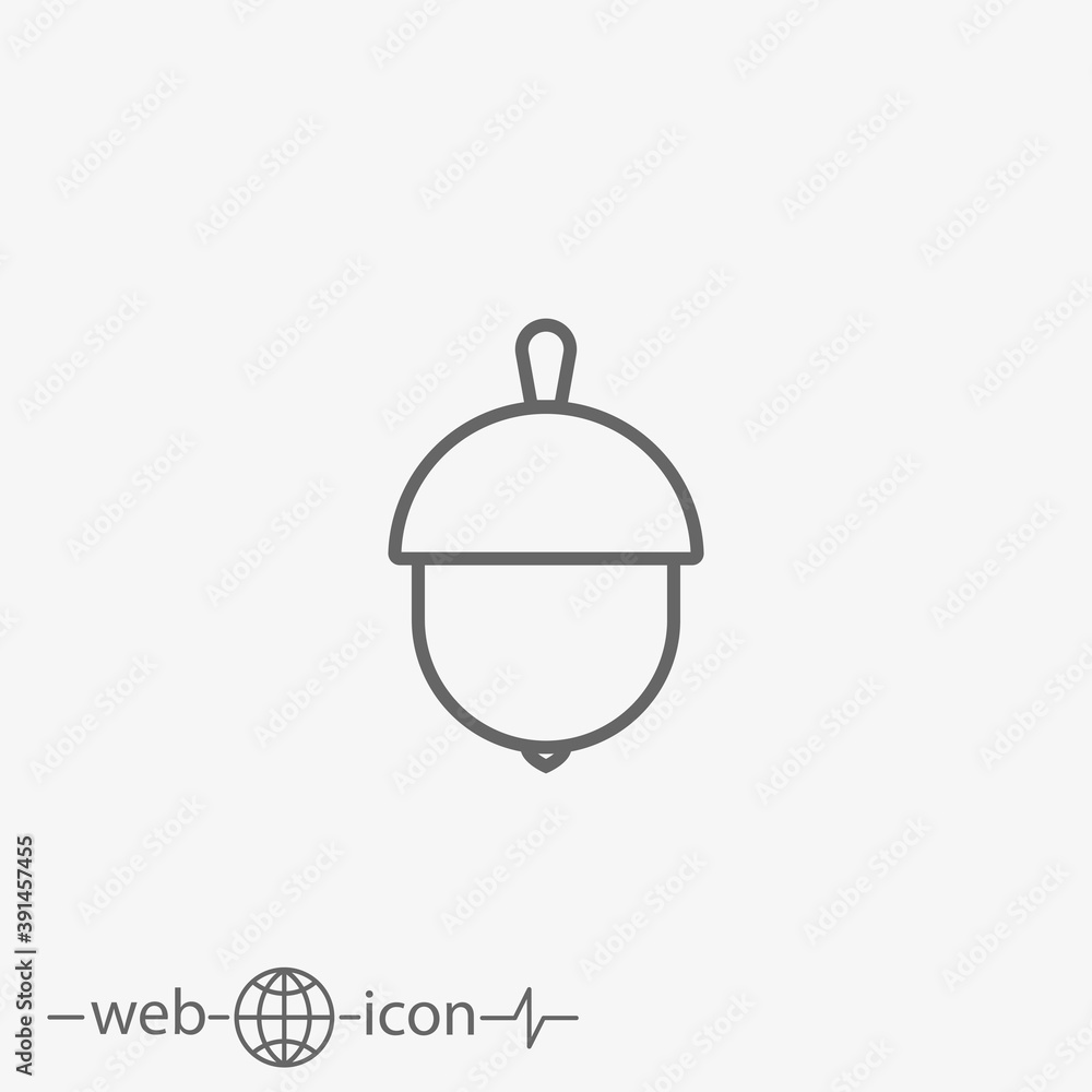 Fototapeta premium acorn