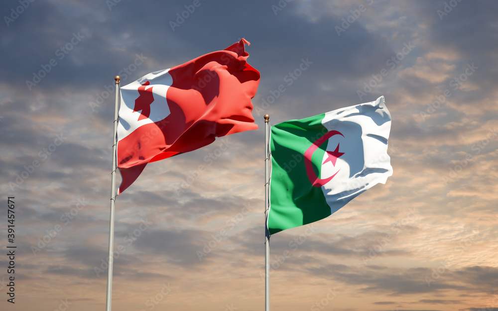 Beautiful national state flags of Tonga and Algeria together at the sky background. 3D artwork concept. Beautiful national state flags of Tonga and Algeria together at the sky background. 3D artwork concept.