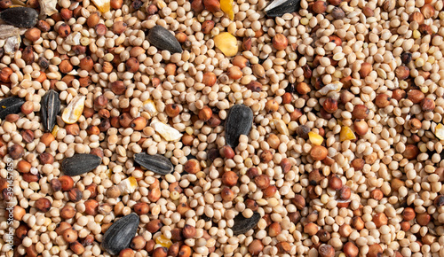 Obraz na plátně Top view of pile of mixed wild bird seeds or grain with colorful black oil sunflower, cracked corn, millet, milo and other feed