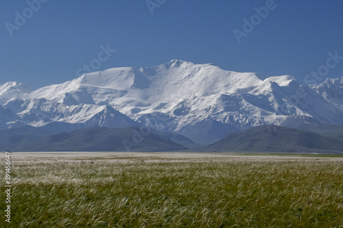 View of Lenin Peak nowadays Ibn Sina peak in the snow-capped Trans-Alay or Trans-Alai mountain range in southern Kyrgyzstan with silver grass in the foreground