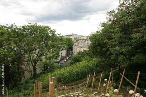 Paris - Montmartre - Sacr  -Coeur