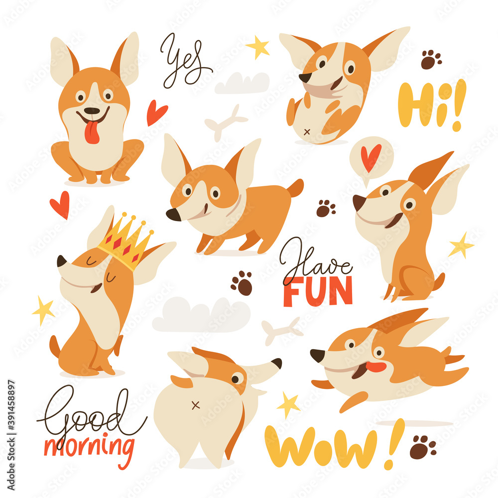 Obraz premium Welsh Corgi various characters doing various activities