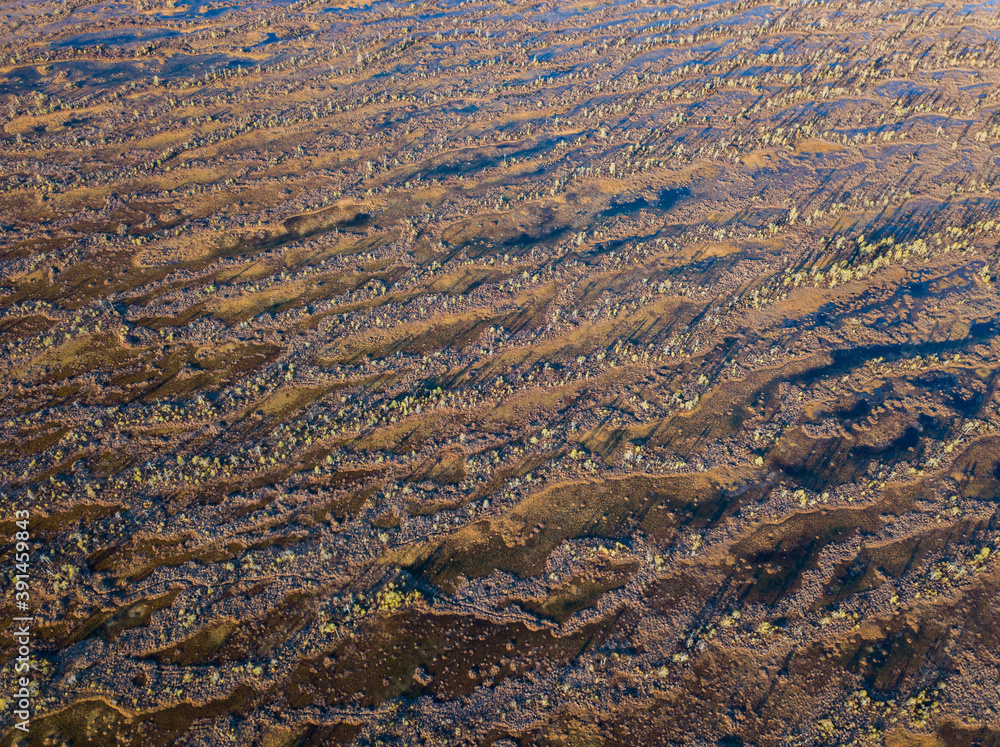 Aerial view of the swamp surface in the Republic of Karelia, northwest of Russia Aerial view of the swamp surface in the Republic of Karelia, northwest of Russia