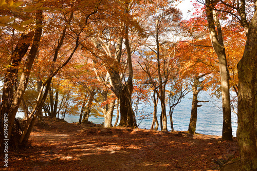 秋の中禅寺湖　紅葉 © LU-