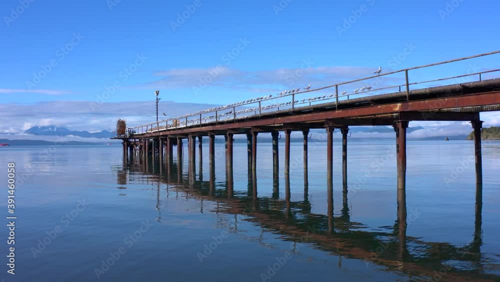 A flock of seagulls are sitting on an old rusty pier. Seagulls fly over the beautiful blue sea. Volcanoes, mountains, hills and rocks of Kamchatka. A flock of seagulls are sitting on an old rusty pier. Seagulls fly over the beautiful blue sea. Volcanoes, mountains, hills and rocks of Kamchatka.