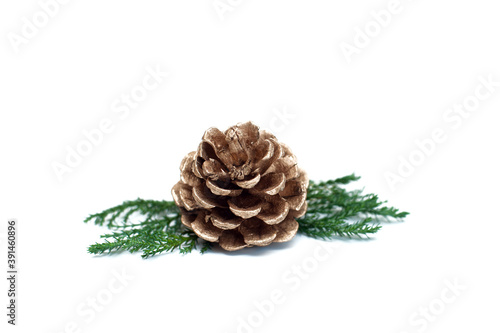 Christmas cone with sprigs of Christmas tree on white background