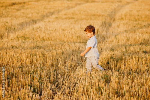 Emotional little adorable boy playing in the field in the warm rays of the setting sun in the summer.