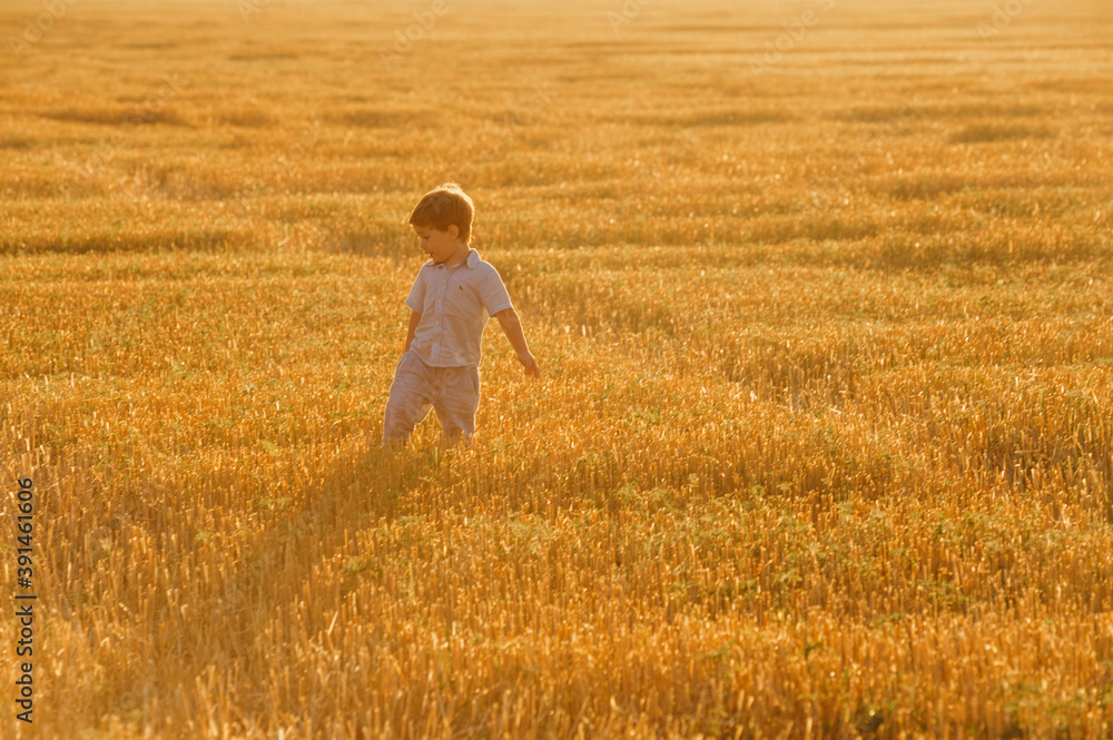 Emotional little adorable boy playing in the field in the warm rays of the setting sun in the summer. Emotional little adorable boy playing in the field in the warm rays of the setting sun in the summer.