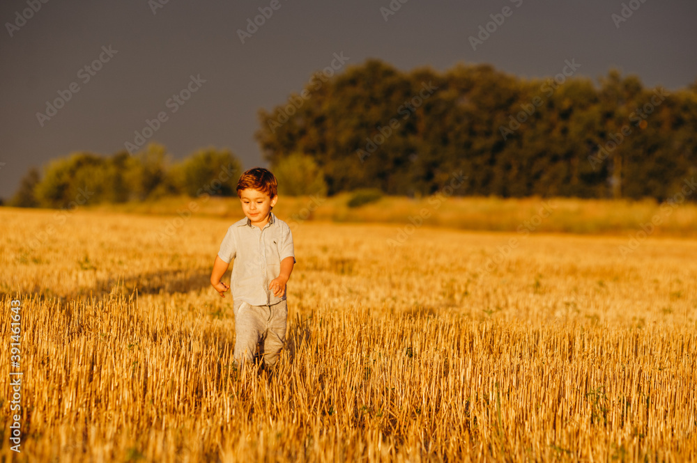 Emotional little adorable boy playing in the field in the warm rays of the setting sun in the summer. Emotional little adorable boy playing in the field in the warm rays of the setting sun in the summer.