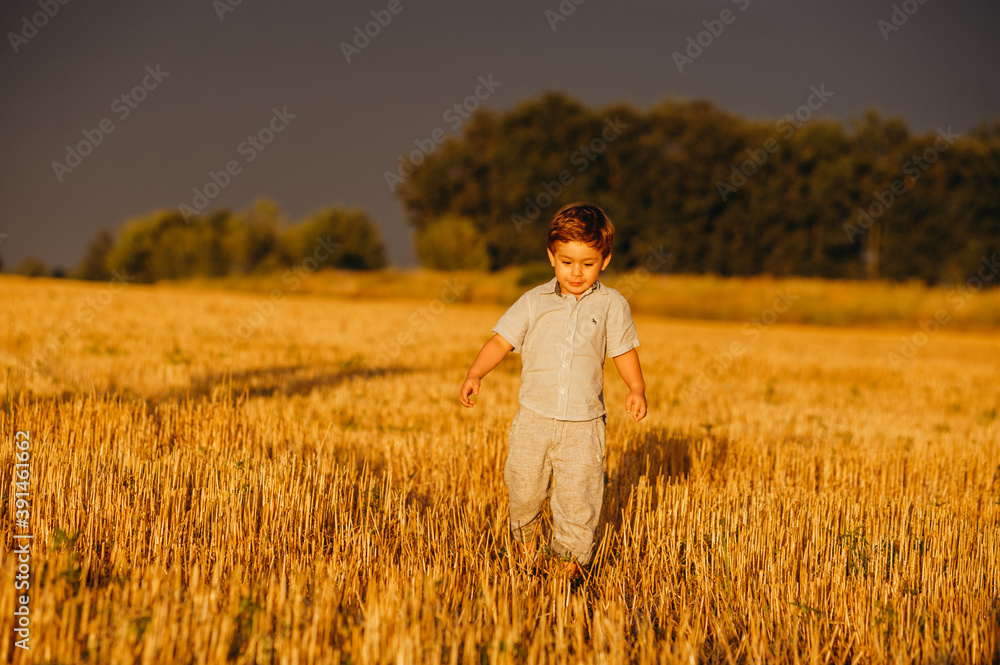 Emotional little adorable boy playing in the field in the warm rays of the setting sun in the summer. Emotional little adorable boy playing in the field in the warm rays of the setting sun in the summer.