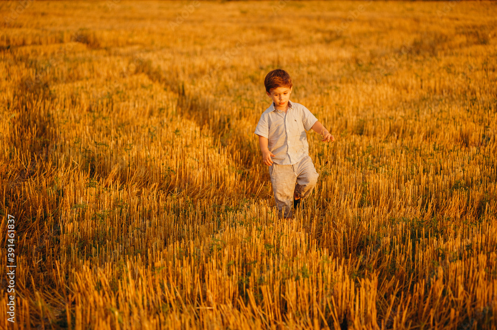 Emotional little adorable boy playing in the field in the warm rays of the setting sun in the summer. Emotional little adorable boy playing in the field in the warm rays of the setting sun in the summer.