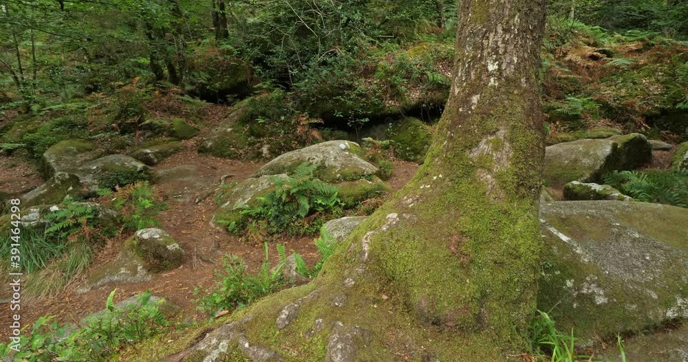Roches du Diable, Querrien, Finistere department, Brittany, France Roches du Diable, Querrien, Finistere department, Brittany, France