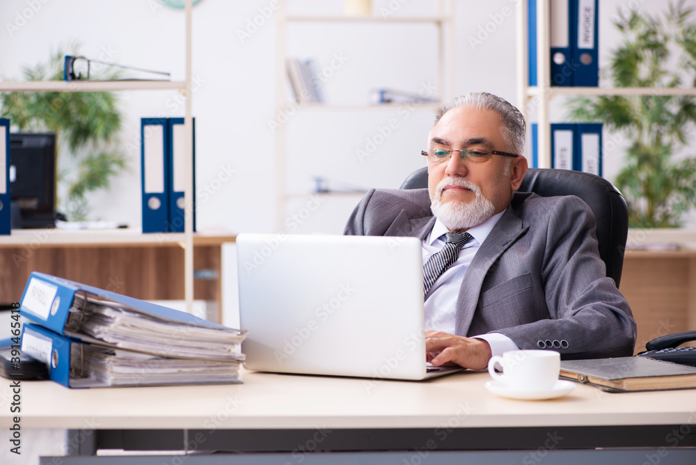Old male employee working in the office Old male employee working in the office