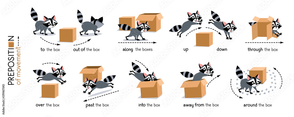 Preposition of movement. Raccoon and the box Stock Vector | Adobe Stock