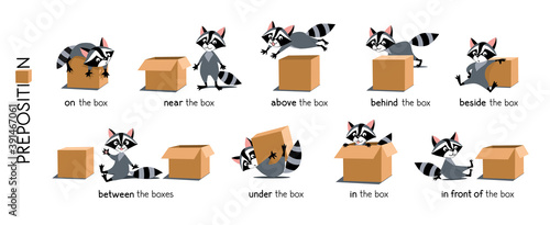 Preposition of place set. Raccoon and the box