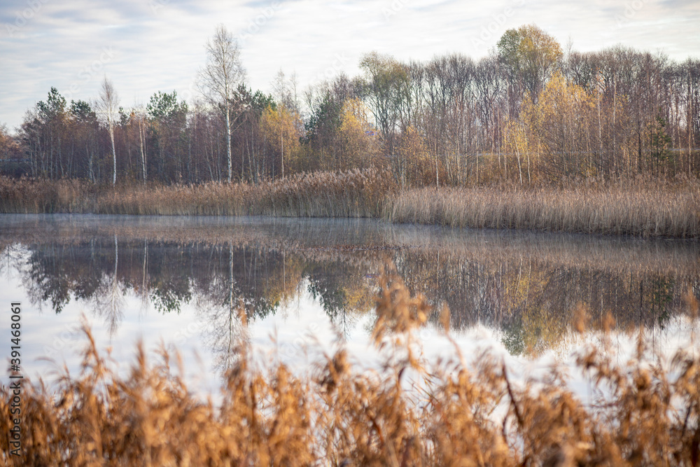 Picture of a slightly misty lake and autumn trees almost without leaves in morning November Latvia Picture of a slightly misty lake and autumn trees almost without leaves in morning November Latvia