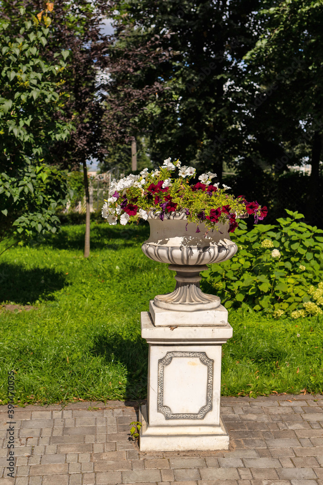 Tver, Tver region. Bright summer day in the city garden. Picturesque clouds