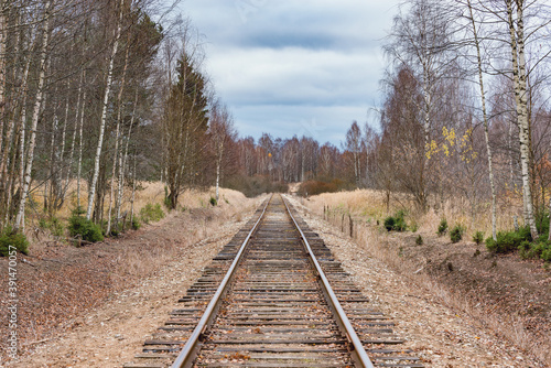 Single railway line in the autumn forest. © serjiob74