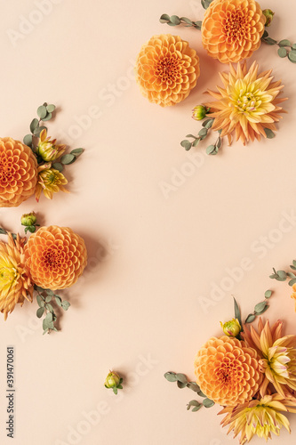 Frame made of beautiful ginger dahlia flower buds on peachy pastel background. Flat lay, top view minimalistic floral concept. Blank copy space mockup template.