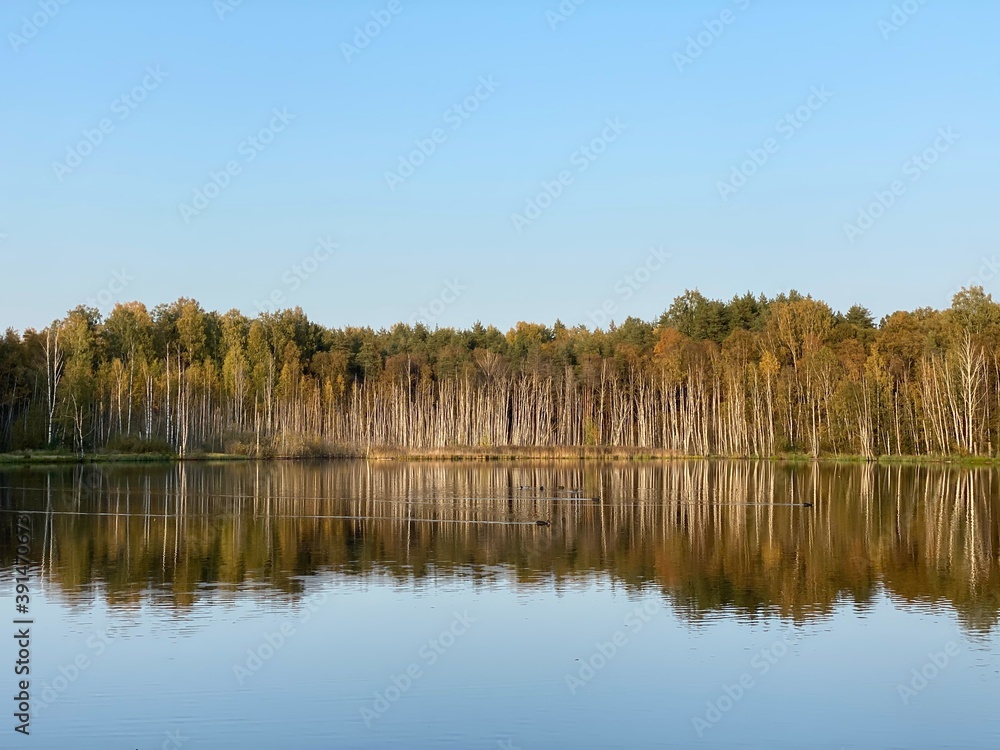 lake in autumn lake in autumn