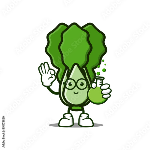 cute lettuce cartoon mascot character