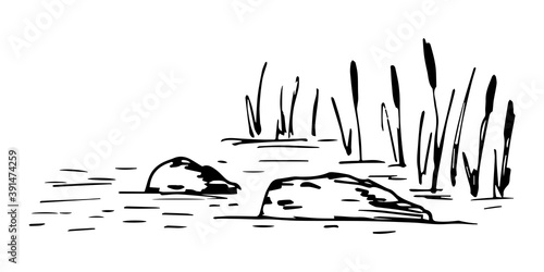 Simple hand-drawn vector drawing in black outline. Lake shore, reeds, stones in the water, bumps, swamp. Nature, landscape, duck hunting.