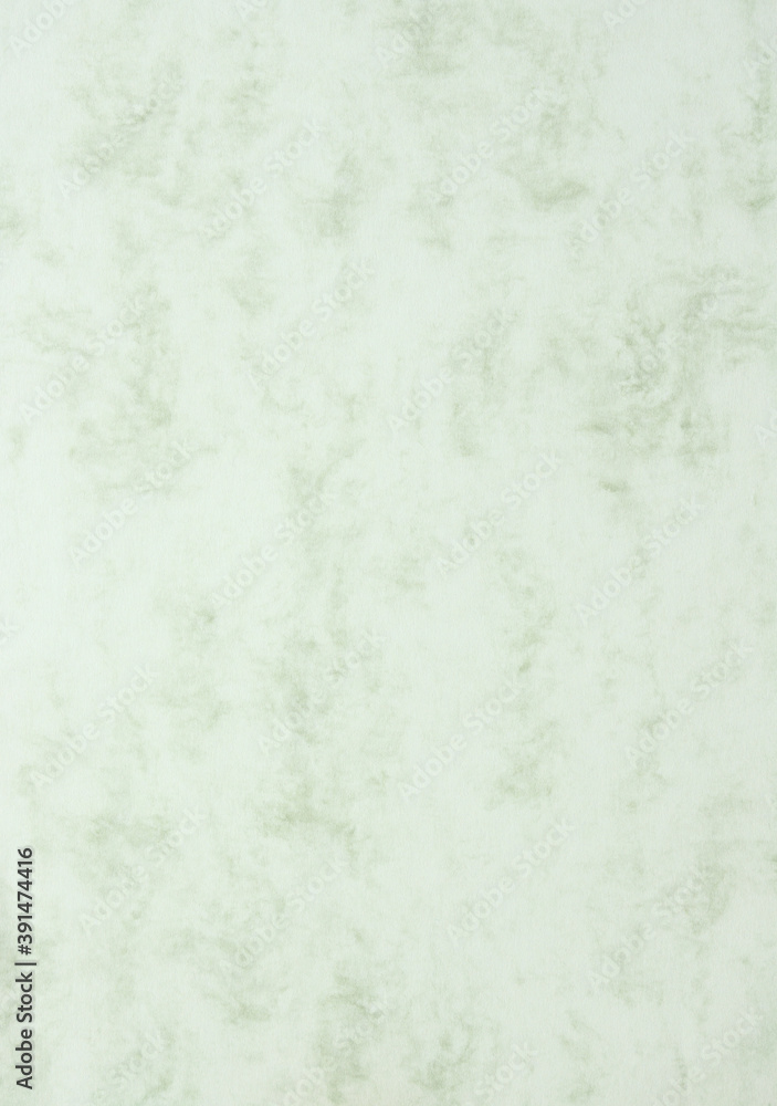 Fototapeta premium Texture and pattern of green paper. Background with copy space for text or image