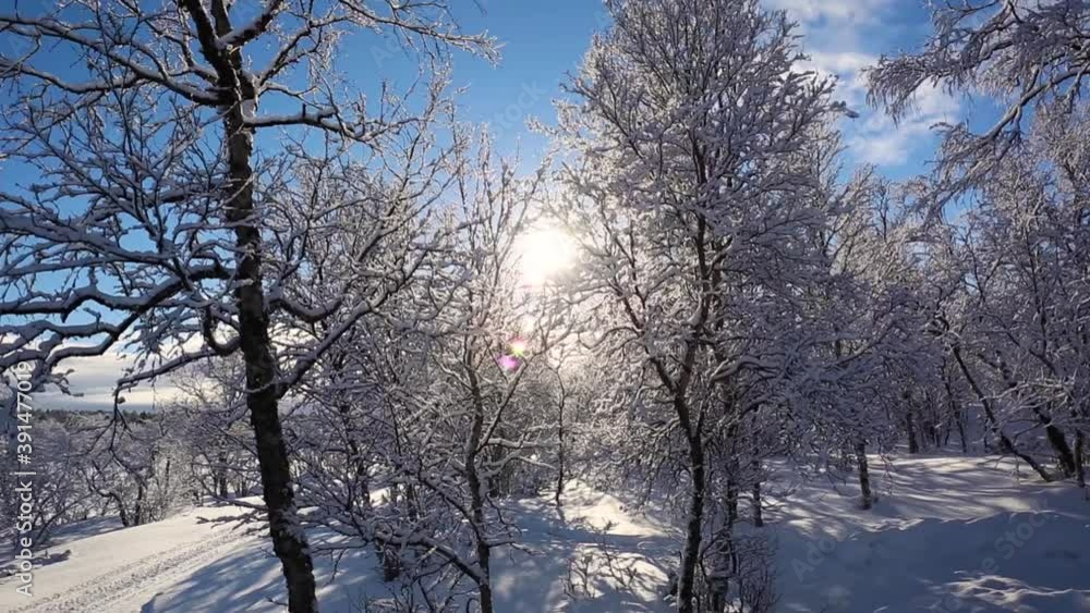 Winter landscape in Nuorgam, Lapland, Finland Winter landscape in Nuorgam, Lapland, Finland