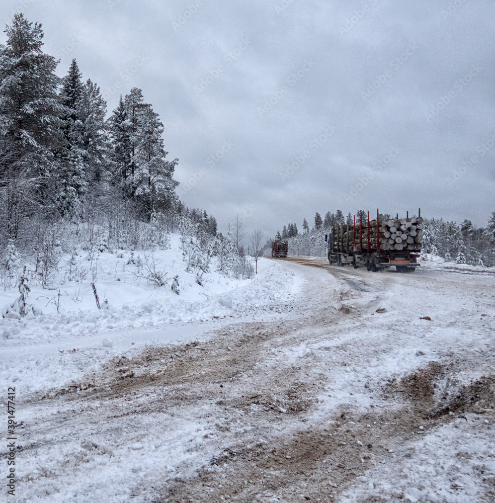 winter road and snow with landscape of trees with frost .