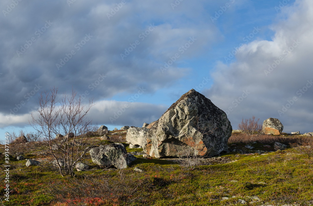 Autumn tundra . Huge stone . Storm clouds and moss.