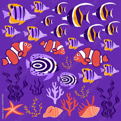 Tropical fish collection. Cute cartoon underwater creatures, shells and seawead on purple background. Vector illustration. photo