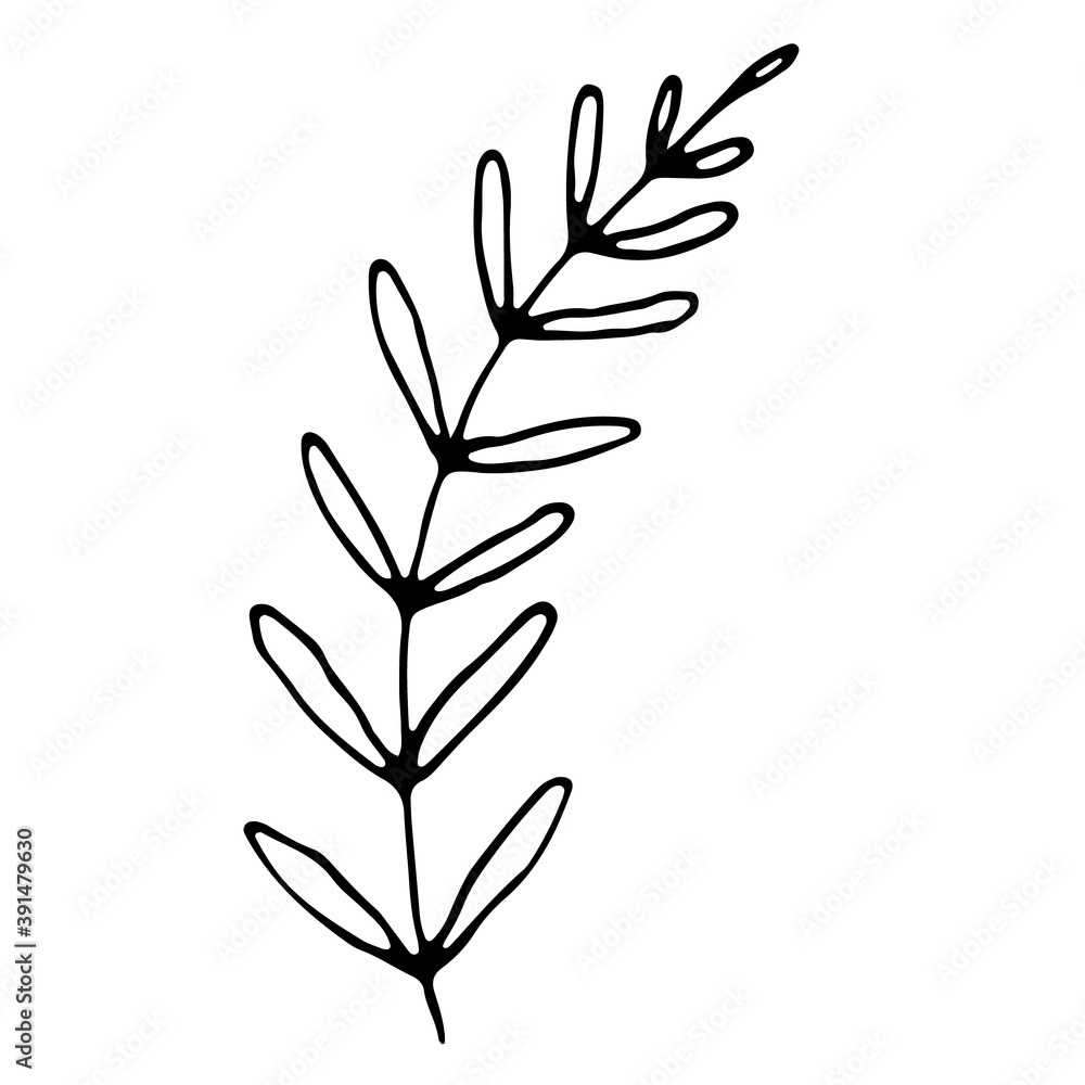 Hand drawn flower doodle Hand drawn flower doodle