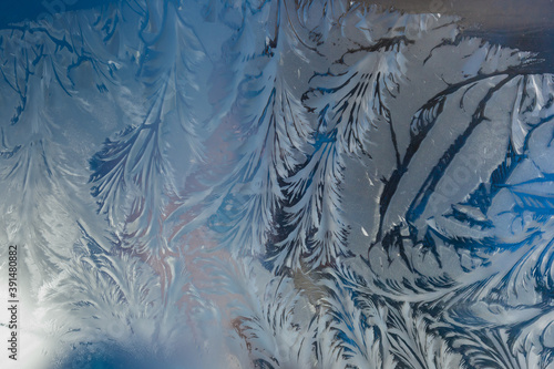..the frosty patterns on the window
