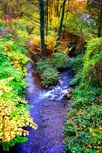 herbstliches Brohltal im Oktober photo