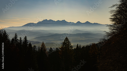 Fototapeta Naklejka Na Ścianę i Meble -  panorama Tatr i Podchala ze szczytu Trzech Koron w Pieninach