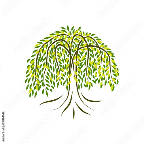 Willow Tree Landscape With circle shape Vector Nature