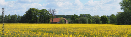 Schilderij op canvas Panorama von einem Bauernhof in der Landschaft in Ost Westfalen in eienm gelben