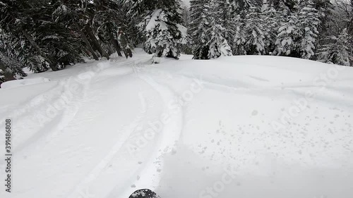 First person view of snowboard riding . Freeride in forest with powder snow