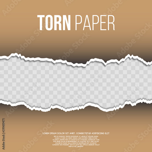 torn paper up and down. Vector template paper design. Eps10