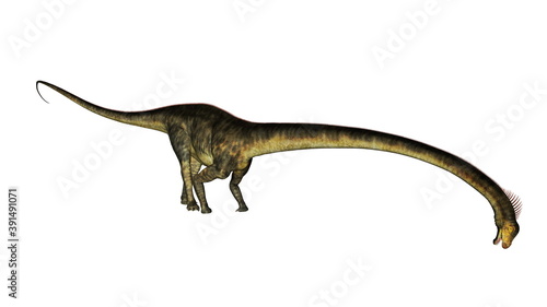 Barosaurus dinosaur isolated in white background - 3D render