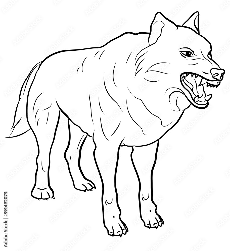 Animals. Black and white image of a big wolf, coloring book for children.