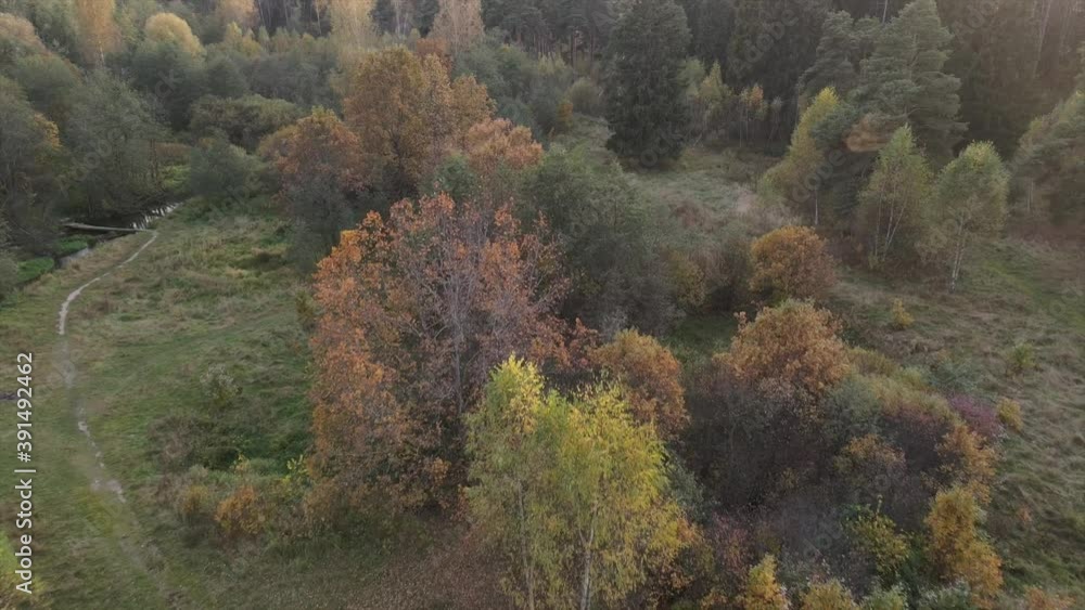 Aerial video of small forest river in central Russia region. Beautiful autumn landscape from above. Moscow region, Russia Aerial video of small forest river in central Russia region. Beautiful autumn landscape from above. Moscow region, Russia