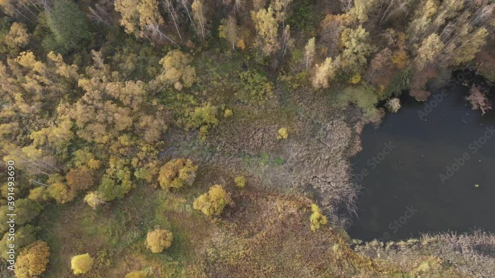 Aerial video of small forest river in central Russia region. Beautiful autumn landscape from above. Moscow region, Russia