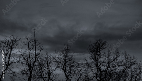 Silhouette dead tree on dark dramatic sky and gray clouds. Dark sky and dead tree background for Halloween day. Dead tree branches with stormy sky. Leafless tree. Background for sad and lonely moment.
