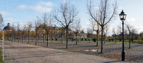 Color full autumn in a park on the Drottningholm island in Stockholm, Alley trees andthe castle kin the background photo