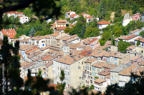 Village of Serres in the Hautes-Alpes, southeastern France seen through blurred leaves