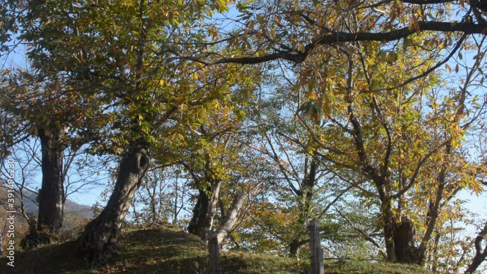 PAESAGGIO MONTANO AUTUNNALE,CAMPANIA,SUD ITALIA,NOVEMBRE 2020. PAESAGGIO MONTANO AUTUNNALE,CAMPANIA,SUD ITALIA,NOVEMBRE 2020.